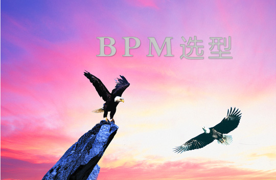 BPM選型:不同類型客戶選擇不同的BPM軟件