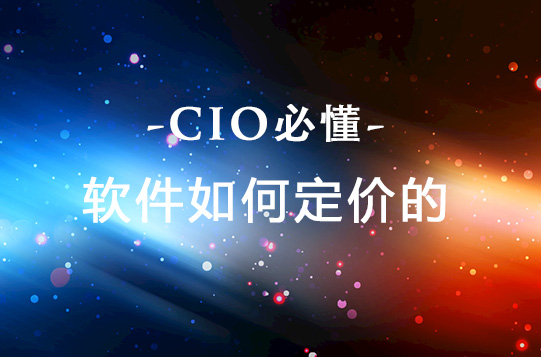 CIO：你應該了解的軟件如何定價