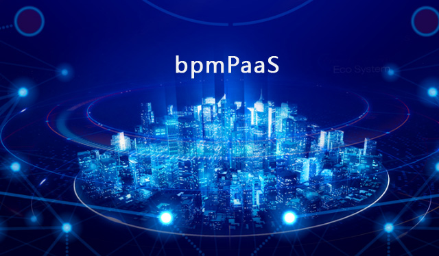 什么是bpmPaaS？