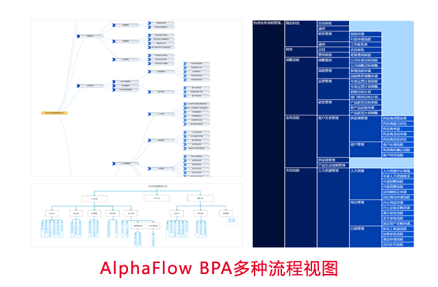 AlphaFlow BPA多種流程視圖