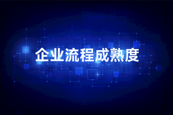 您的企業在流程成熟度中處于什么位置？